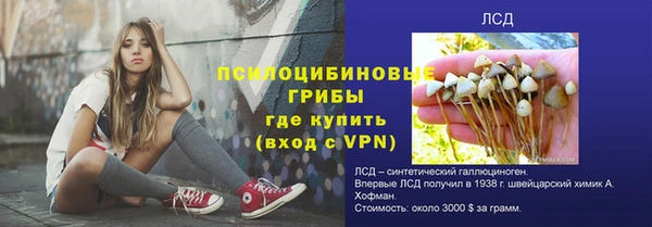 молекула духа Аркадак