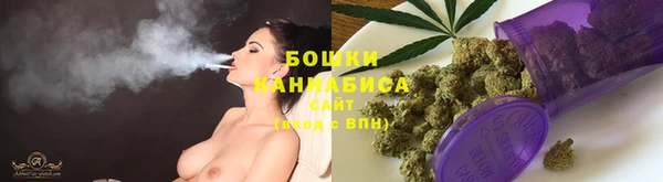 молекула духа Аркадак