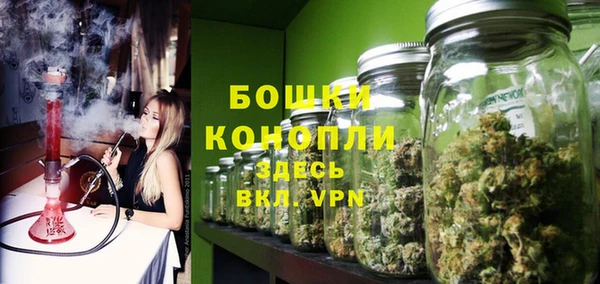 молекула духа Аркадак