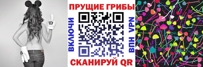 купить наркотики сайты  Саянск  Псилоцибиновые грибы ЛСД 